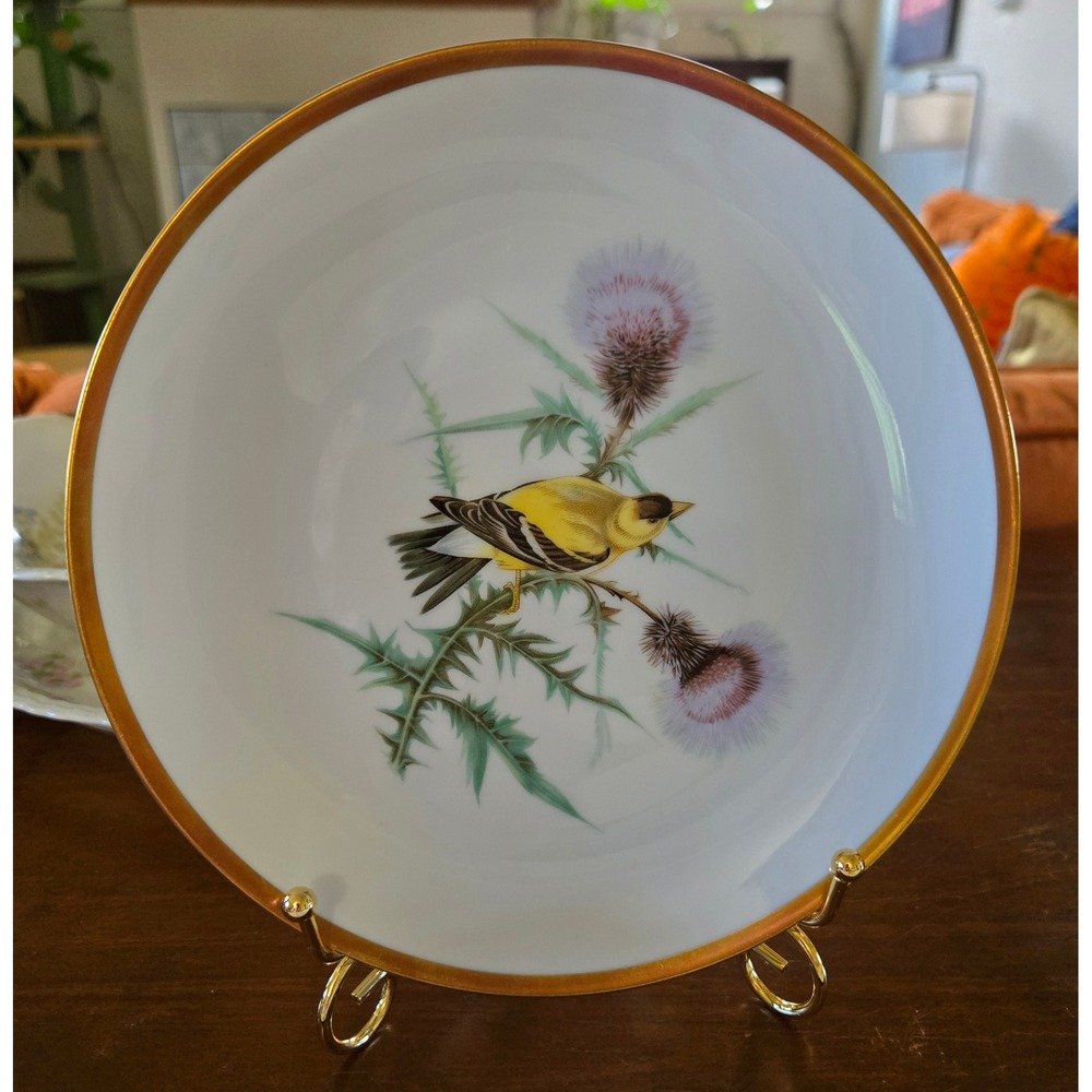 Hutschenreuther Selb Goldfinch Audubon Plate Bavaria Germany Pasco Porcelain 8"